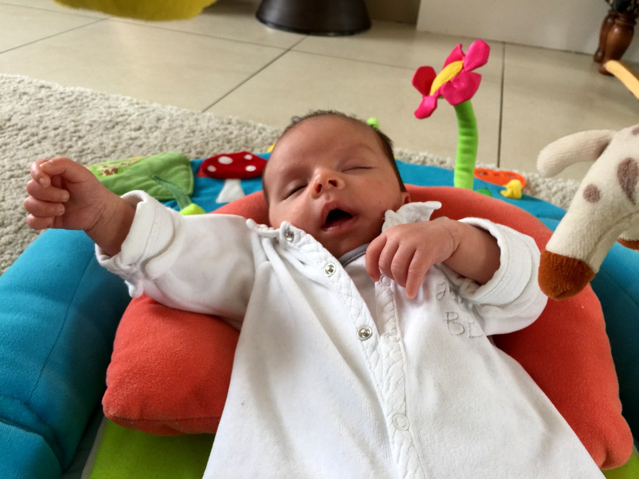 2016-07-03 Photos 24