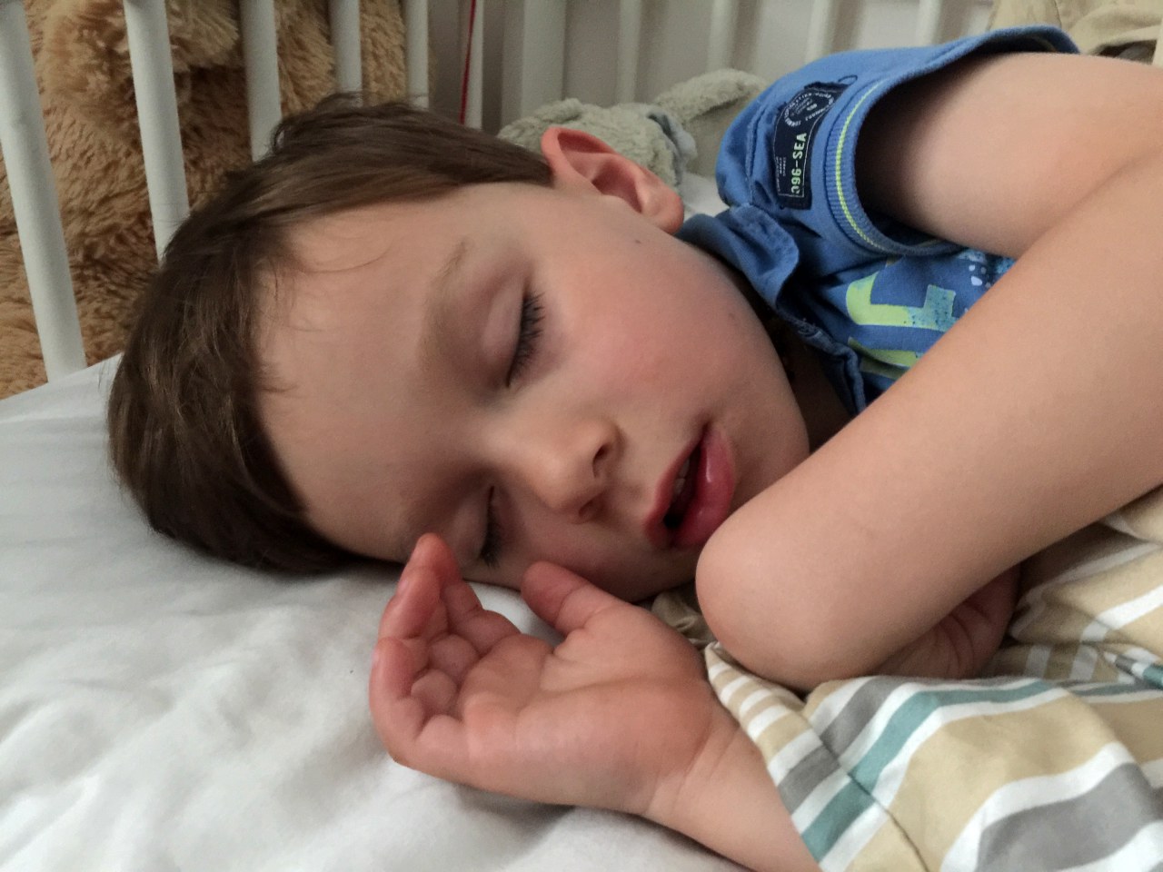 2016-07-03 Photos 26